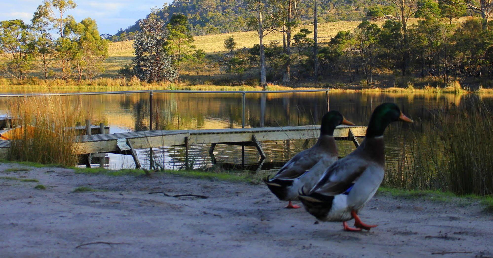 Gumleaves Bush Holidays Little Swanport Bagian luar foto